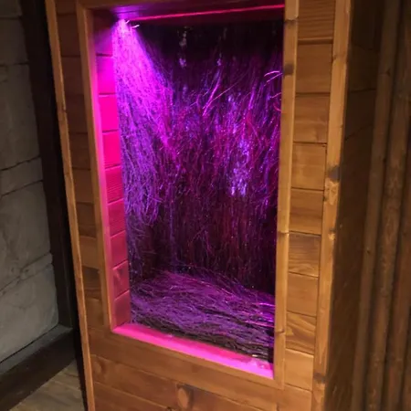 Czarna Owca Appartamento