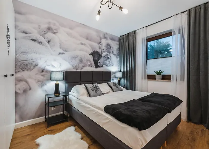 Czarna Owca Apartament *